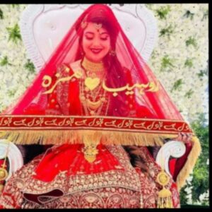 Premium "Qubool Hai" Bridal Nikah Dupatta & Mashallah Net Veil Set for Weddings